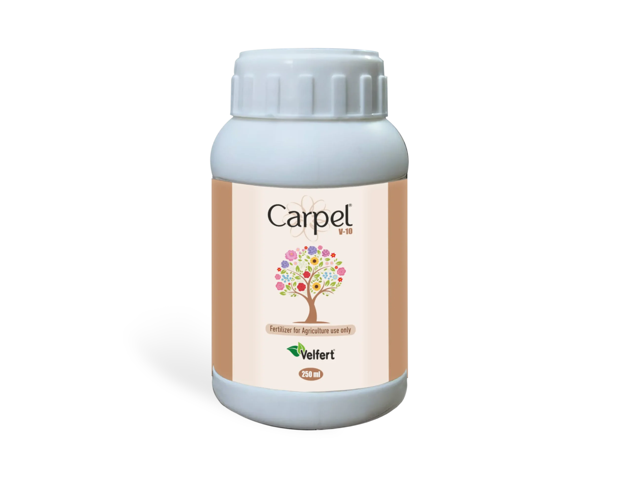 Carpel