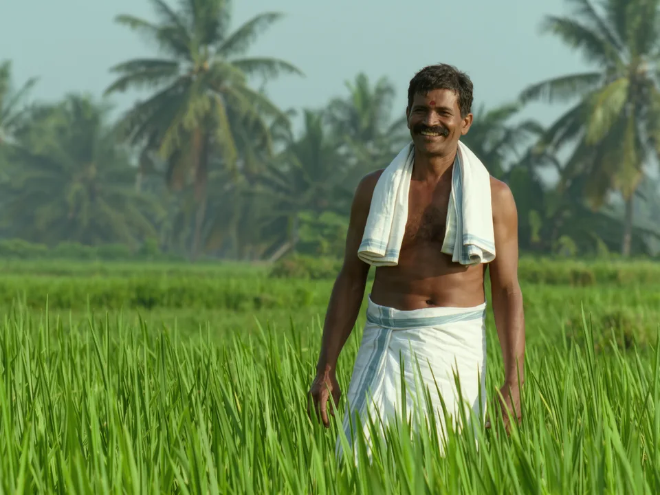 Smiling farmer standing in his green paddy field
